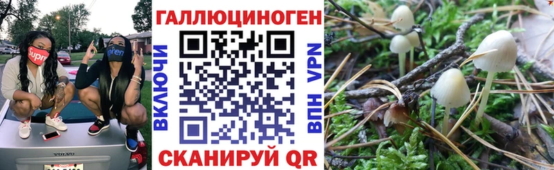 KRAKEN вход Нововоронеж Псилоцибиновые грибы мицелий дарнет шоп