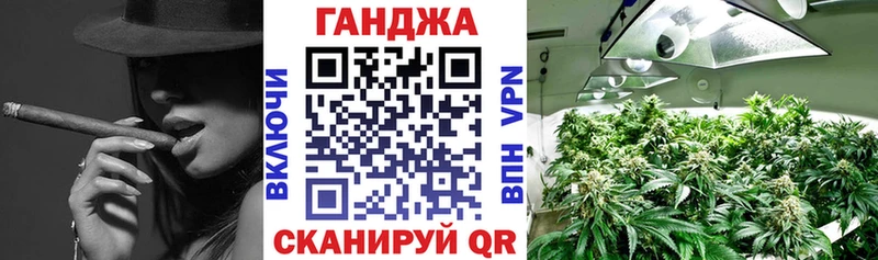 Марихуана сатива  Нововоронеж 